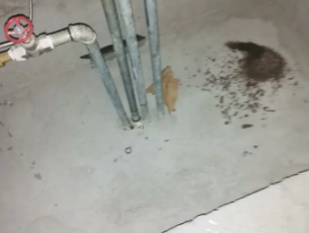 永靖卫生间测漏水价格明细